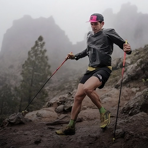 Uma pessoa correndo em uma floresta com neblina